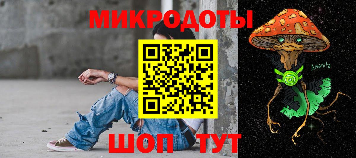 Нефтекумск  Галлюциногенные грибы мицелий  закладки  Вход с VPN  Псилоцибиновые грибы Psilocybe 
